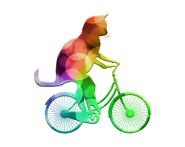 Una Simple Ilustración Gato Bicicleta Aislado Sobre Fondo Blanco —  Fotos de Stock