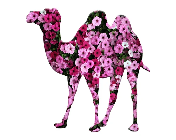 Простая Иллюстрация Camelsilhouette Цветами Дизайн Изолирован Белом Фоне — стоковое фото