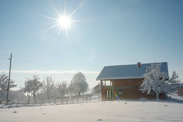 明るい太陽の下で雪に覆われた家や木の静かな景色 — ストック写真