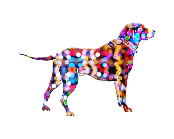 Uma Ilustração Simples Uma Silhueta Cão Com Design Colorido Isolado — Fotografia de Stock