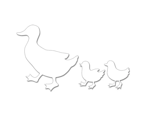 一只鸭的轮廓图例 它的小鸭与白色背景隔离在一起 — 图库照片