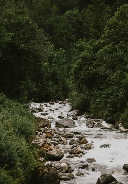 Eine Vertikale Aufnahme Eines Flusses Mit Steinen Grünen Wald — Stockfoto