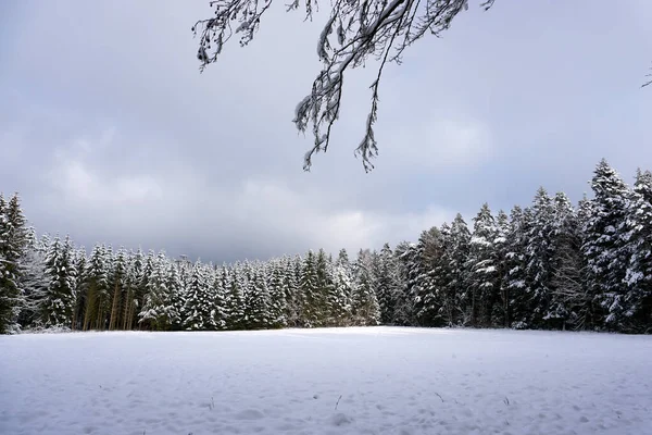 Winter Landscape Trees Covered Snow — Stock Photo, Image