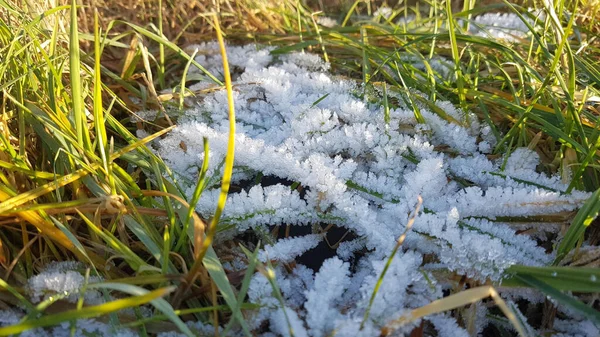 Eine Nahaufnahme Von Gefrorenem Schnee Einem Feld Einem Sonnigen Tag — Stockfoto