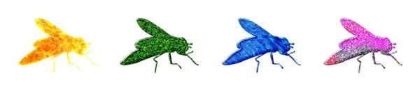 Een Illustratie Van Vier Vliegen Met Kleurrijke Texturen Geïsoleerd Een — Stockfoto