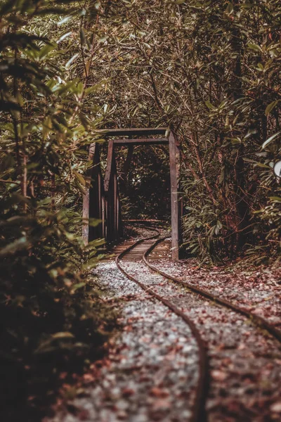 Een Verticaal Schot Van Een Spoorweg Omringd Door Bomen Een — Stockfoto