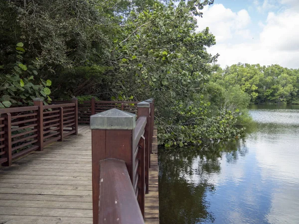 Eine Holzbrücke Über Den Fluss Umgeben Von Grünen Pflanzen Park — Stockfoto