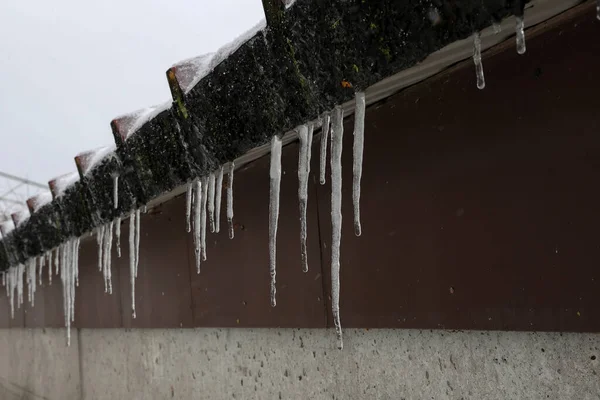 Closeup Roof Melting Icicles — Stock Photo, Image