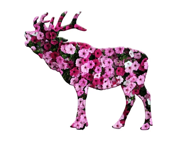 Una Ilustración Ciervo Lleno Flores Rosadas Florecidas Aisladas Sobre Fondo — Foto de Stock