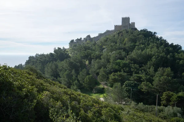 Castelo Sesimbra Com Árvores Redor Oceano Atlântico Atrás Portugal — Fotografia de Stock