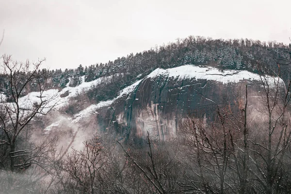 Una Hermosa Vista Paisaje Montañoso Con Árboles Sin Hojas Cubiertos —  Fotos de Stock