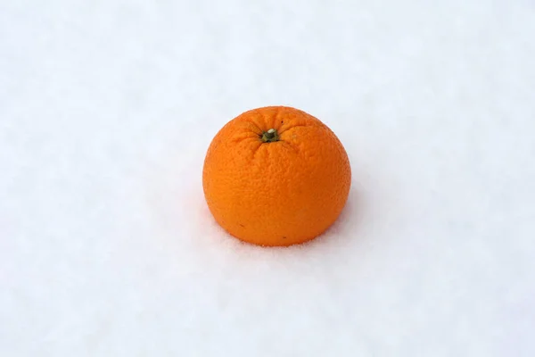 Närbild Mogen Orange Isolerad Snön — Stockfoto