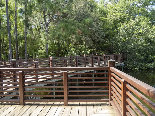 公園内の緑の植物に囲まれた川の上の木製の橋 — ストック写真
