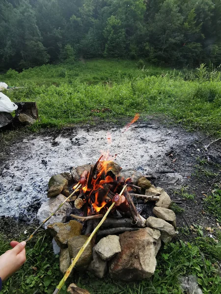 Plan Vertical Randonneurs Grillant Des Saucisses Sur Feu Joie — Photo