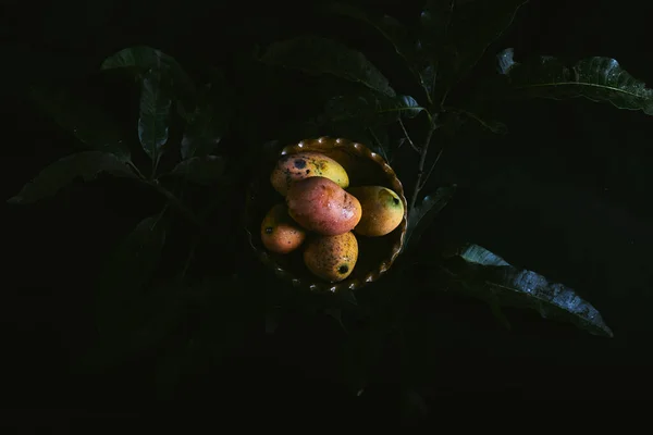 Una Vista Superior Primer Plano Mangos Maduros Dentro Tazón Cerámica — Foto de Stock