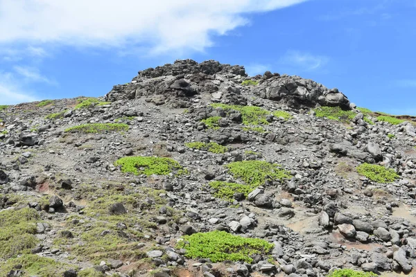 Una Ladera Volcánica Con Plantas Verdes Brillantes Isla Maui Hawai —  Fotos de Stock