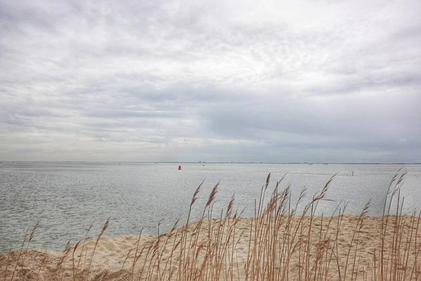 Спокійне Море Чистим Горизонтом Захопленим Пляжу Похмурий День — стокове фото