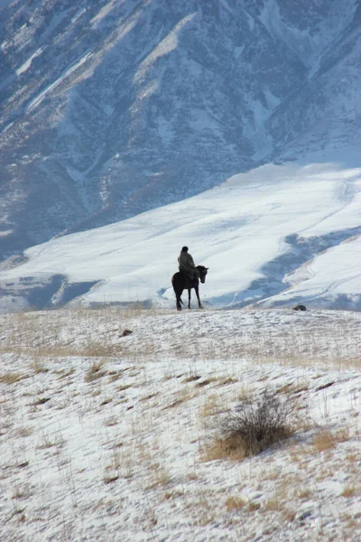 Красивый Вид Горы Человека Лошади Стоящего Земле Покрытой Снегом — стоковое фото
