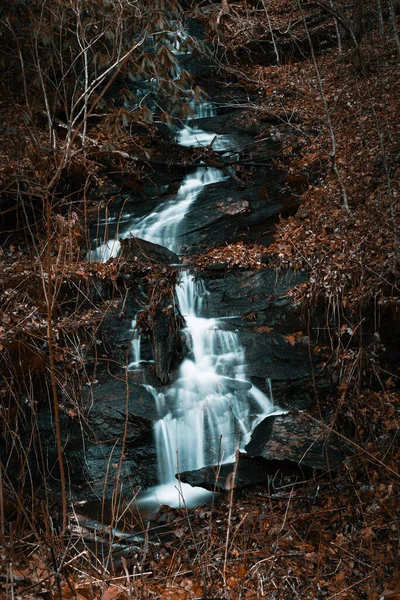雪に覆われた植物に囲まれた岩の崖を流れる滝の垂直ショット — ストック写真