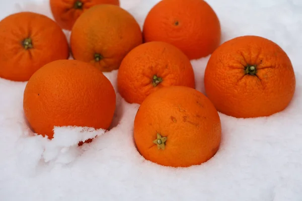 Närbild Grupp Mogna Apelsiner Snön — Stockfoto