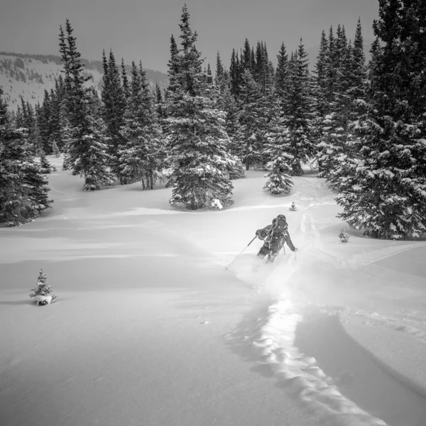 Tiro Tons Cinza Esquiador Esquiando Uma Encosta Nevada Através Uma — Fotografia de Stock