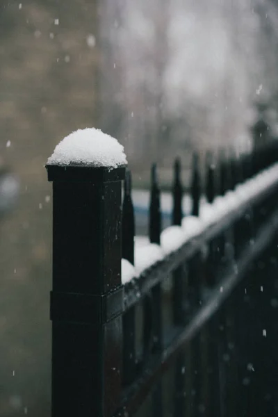 Вертикальный Снег Металлическом Черном Заборе — стоковое фото