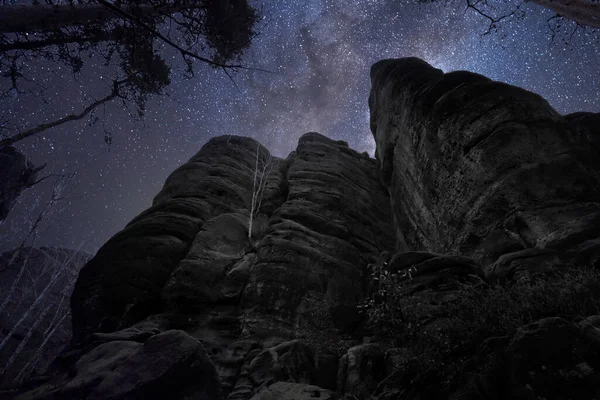 Nízký Úhel Záběru Skal Stromů Pod Hvězdnou Noční Oblohou — Stock fotografie