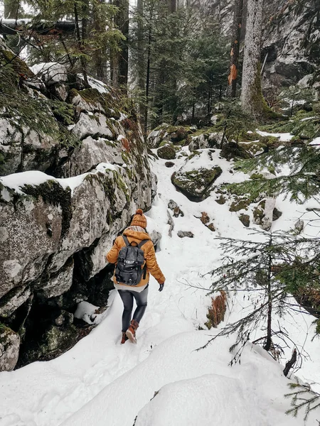 Una Mujer Joven Ropa Interior Caliente Temporada Caminando Parque Invierno — Foto de Stock