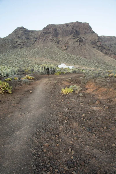 Eine Vulkanische Wüstenlandschaft Mit Kakteen Und Bergen Teneriffa Kanarische Inseln — Stockfoto