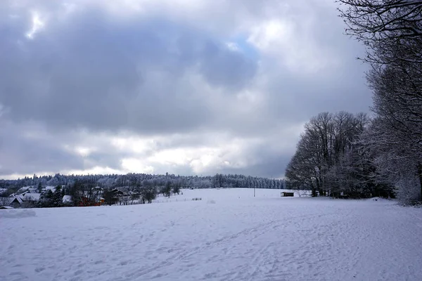冬日的风景和被雪覆盖的树木 — 图库照片