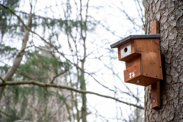 Tiro Close Tronco Árvore Eon Birdhouse — Fotografia de Stock