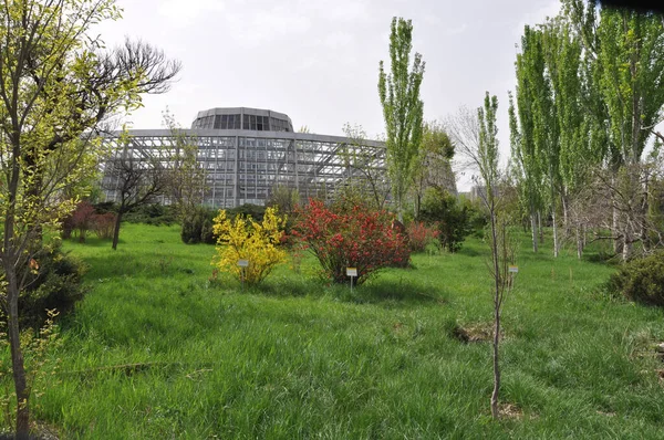 Esterno Dell Orto Botanico Erevan — Foto Stock
