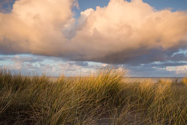 Falista Trawa Chmurami Nad Wybrzeżem Morza Północnego Holandii — Zdjęcie stockowe