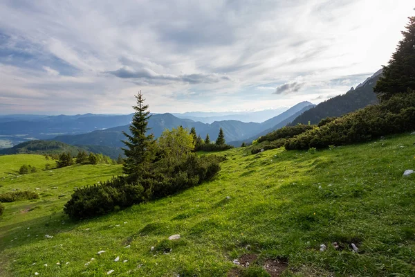Een Adembenemend Uitzicht Bomen Een Met Gras Bedekte Heuvel Bergen — Stockfoto