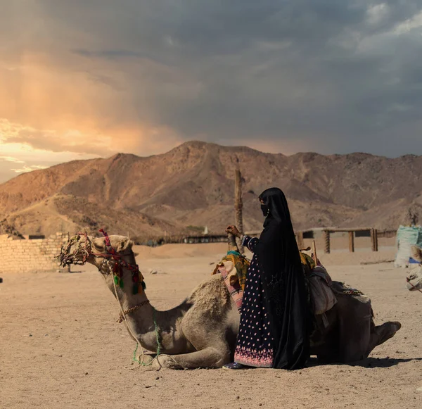 Nierozpoznana Arabka Tradycyjnym Ubraniu Stojąca Obok Wielbłąda Saharze — Zdjęcie stockowe