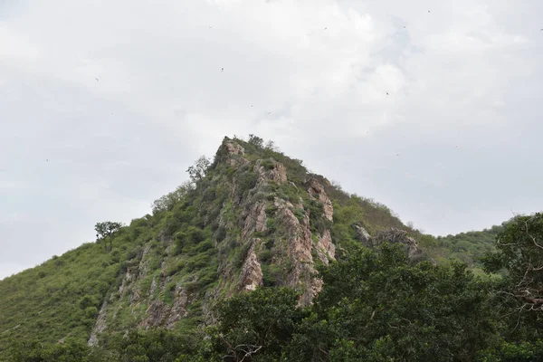 Uma Montanha Rochosa Coberta Árvores — Fotografia de Stock