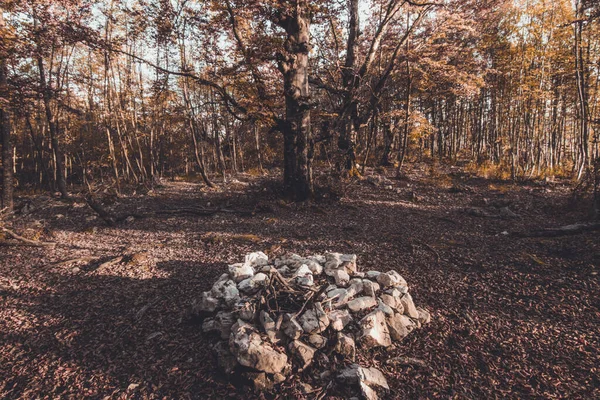 Una Hermosa Vista Los Árboles Con Grupo Piedras Bosque Otoño — Foto de Stock