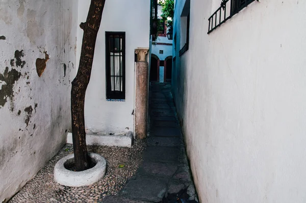 Antiga Rua Panuelo Com Uma Árvore Córdoba Andaluzia Espanha — Fotografia de Stock