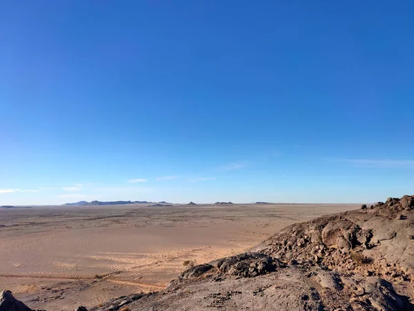 Gros Plan Désert Péché Par Une Journée Ensoleillée — Photo