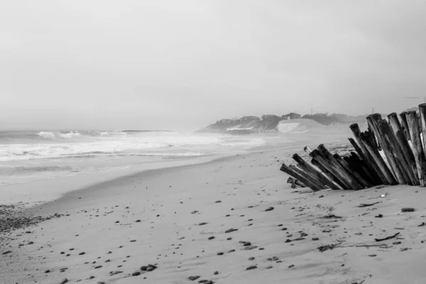 Grayscale Shot Empty Beach Wavy Sea — Stock Photo, Image