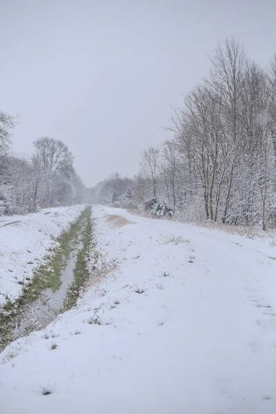 Krásná Zimní Krajina Parku Bezlistými Stromy Pokrytými Sněhem — Stock fotografie