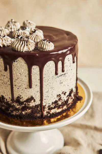 Вертикальный Снимок Вкусного Шоколадного Торта Печеньем Подносе Столе — стоковое фото