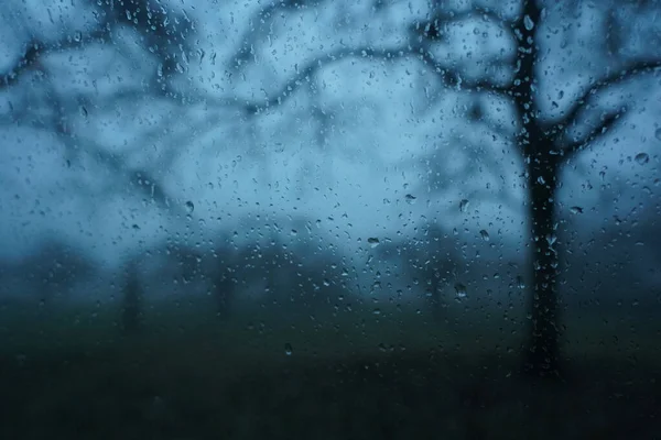 Gros Plan Gouttes Pluie Sur Une Fenêtre Vue Une Forêt — Photo