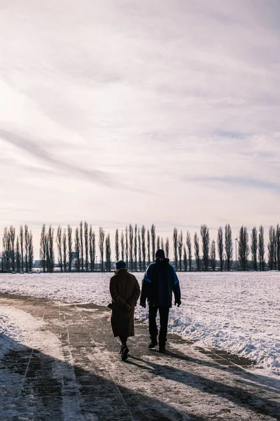 Uma Visão Traseira Casal Sênior Andando Tempo Inverno — Fotografia de Stock