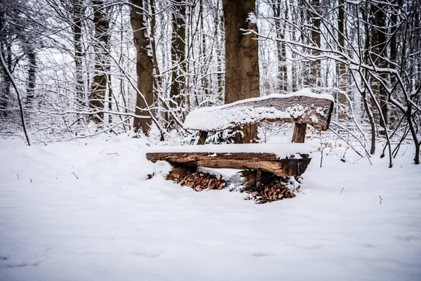 Snow Covered Wooden Bench Trees Forest — Stock Photo, Image