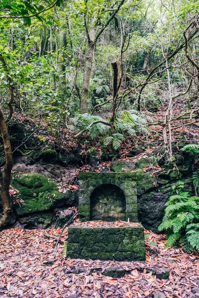 Moulin Eau Milieu Des Bois Anaga Tenerife Îles Canaries Espagne — Photo