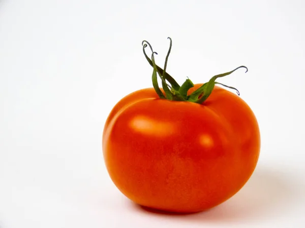 Eine Reife Frische Tomate Weißen Hintergrund Das Konzept Von Gmo — Stockfoto