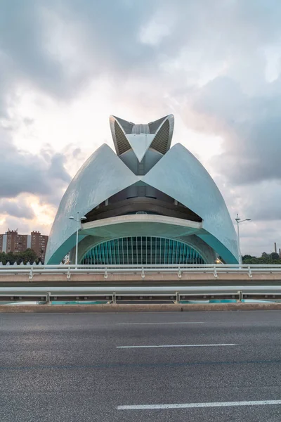 Valenci España Agosto 2019 Foto Vertical Del Palau Les Arts — Foto de Stock