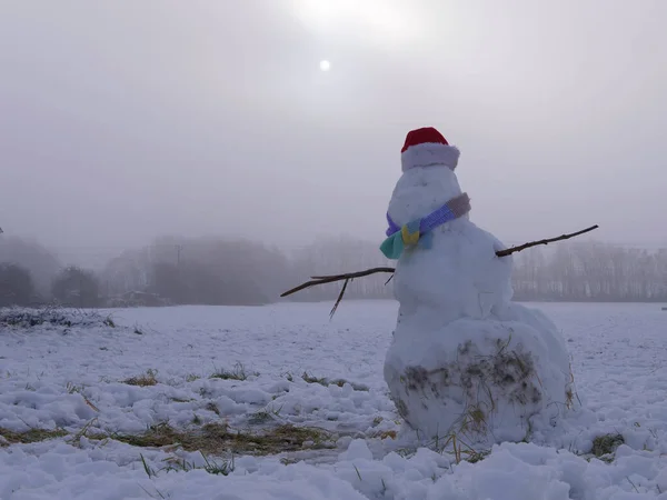 Bonhomme Neige Hiver Avec Écharpe Chapeau Plan Large — Photo