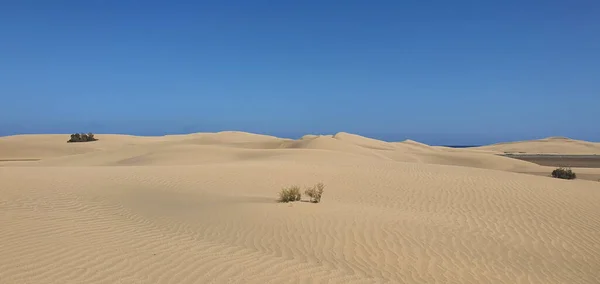 Pískové Vlny Pouštním Písku — Stock fotografie